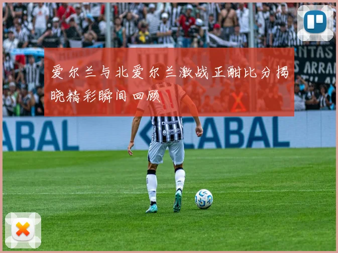 爱尔兰与北爱尔兰激战正酣比分揭晓精彩瞬间回顾