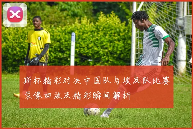斯杯精彩对决中国队与埃及队比赛录像回放及精彩瞬间解析
